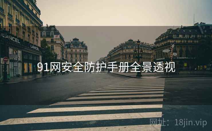 91网安全防护手册全景透视