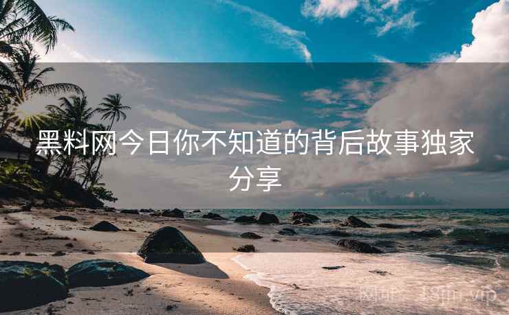 黑料网今日你不知道的背后故事独家分享