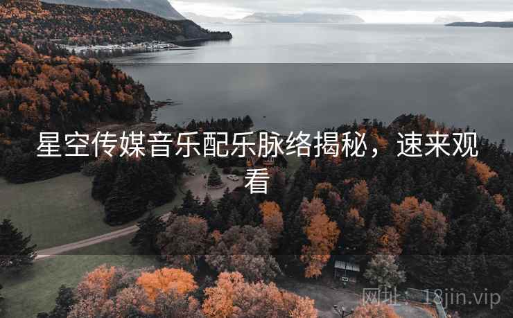 星空传媒音乐配乐脉络揭秘，速来观看