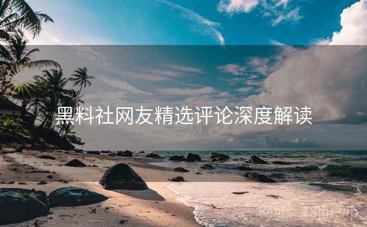 黑料社网友精选评论深度解读