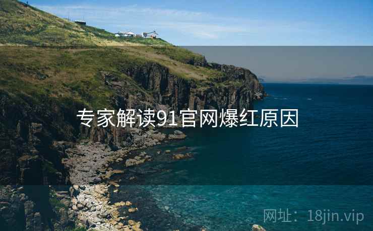 专家解读91官网爆红原因