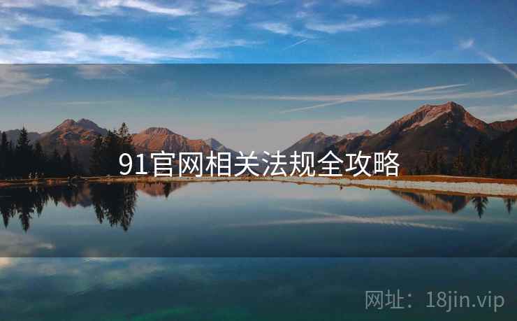 91官网相关法规全攻略