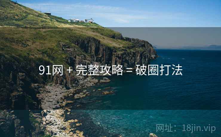 91网 + 完整攻略 = 破圈打法