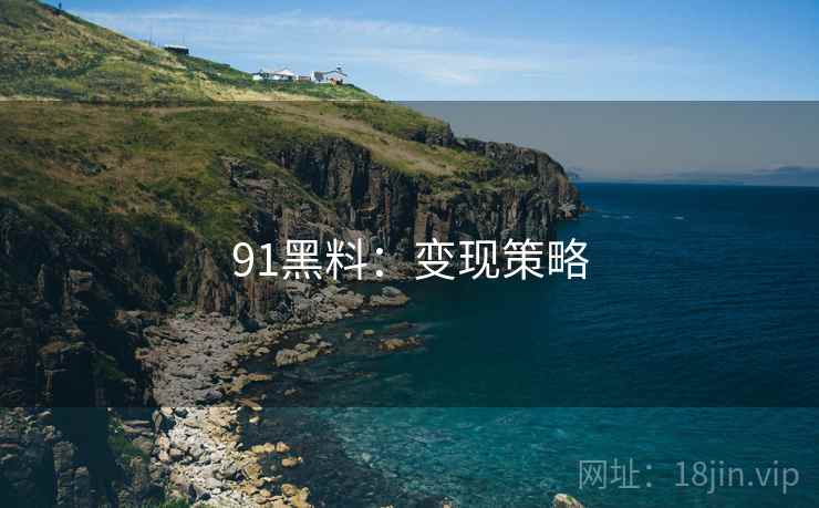 91黑料：变现策略