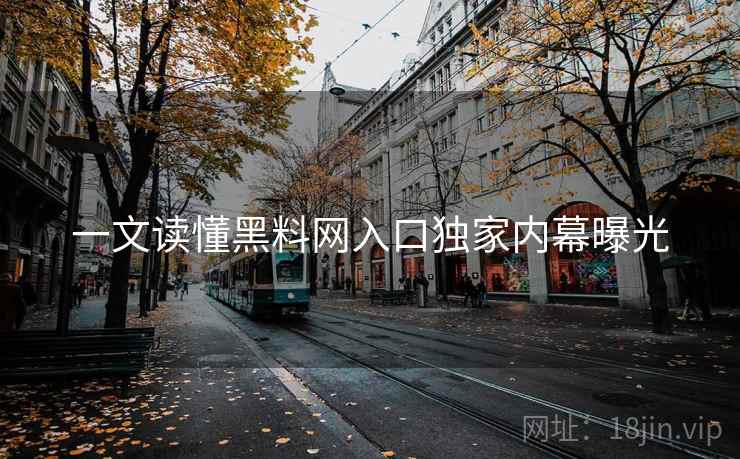 一文读懂黑料网入口独家内幕曝光