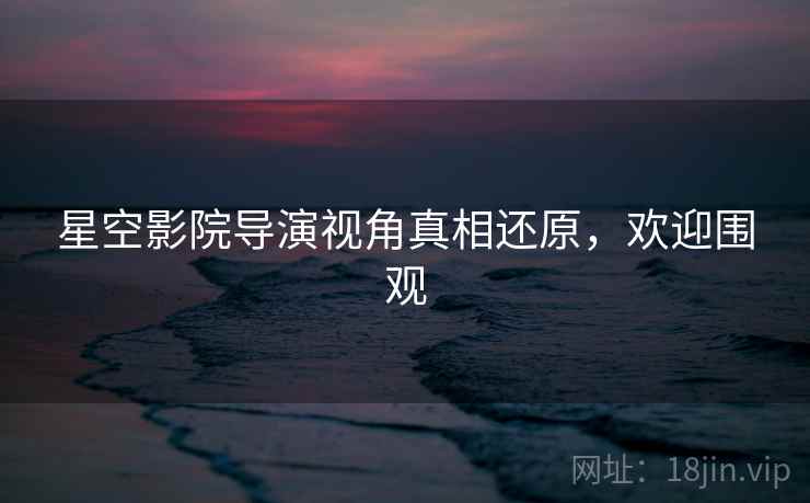 星空影院导演视角真相还原，欢迎围观